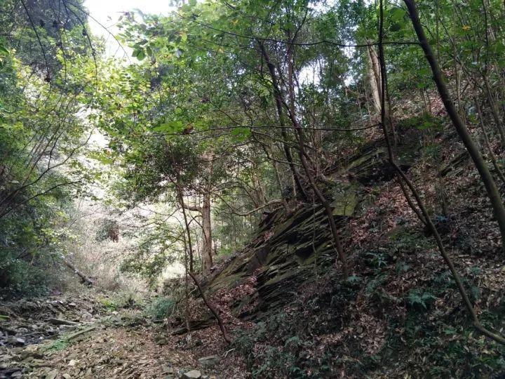 探索神秘小屋6